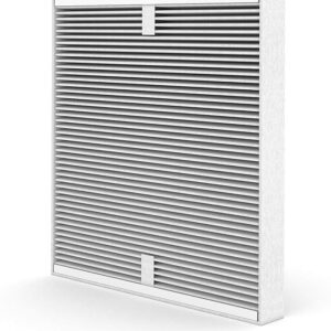 Stadler Form Dual Filter H14 (HEPA14 + charbon actif) pour purificateur d'air Roger/Roger Big - durée de vie 1 an
