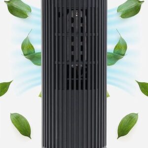 Purificateur d'air ionique portable à double ozone